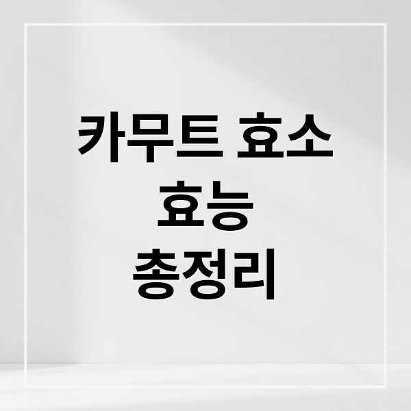 카무트 효소: 효능, 복용법, 부작용 완벽 가이드 1