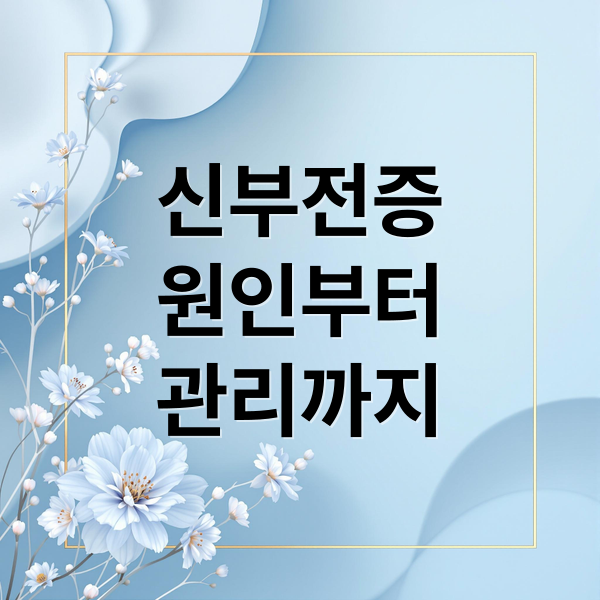 신부전증 A to Z: 원인, 증상, 치료, 식단까지 완벽 가이드 1