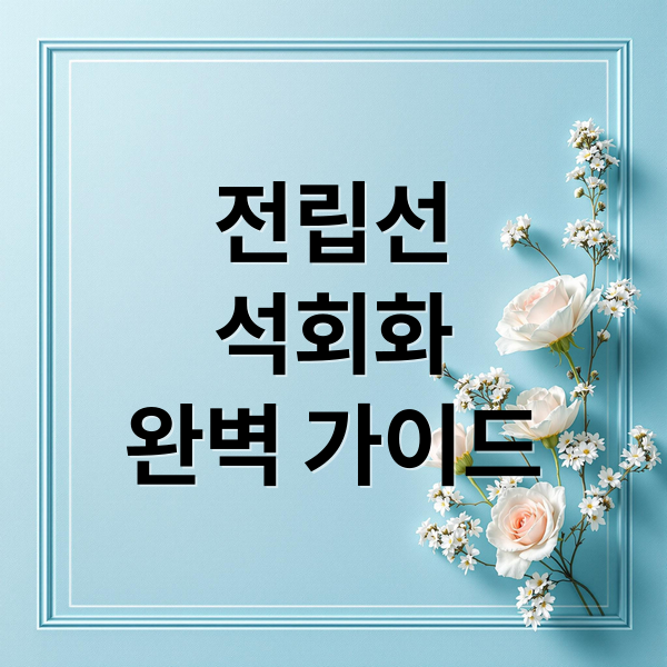 전립선 석회화: 원인, 증상, 치료, 예방까지 완벽 가이드 1