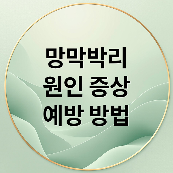 망막박리: 원인, 증상, 치료, 예방까지 완벽 가이드 1