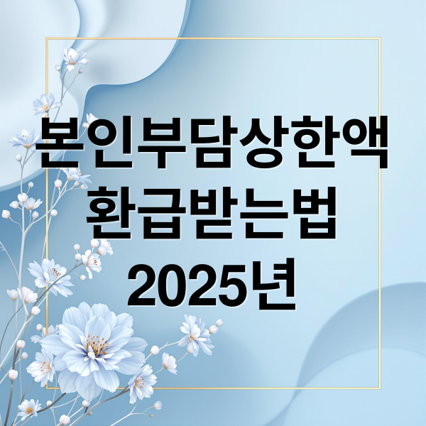 2025년 본인부담상한액 초과금 환급: 대상, 계산, 신청 방법 완벽 가이드 2