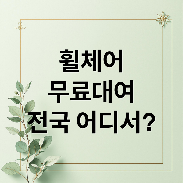 휠체어 무료 대여, 전국 어디서? 절차부터 종류, 유의사항까지 (핵심 정리) 6