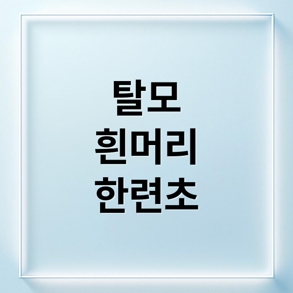 탈모, 흰머리 고민 끝! 한련초 효능부터 재배, 활용법, 주의사항 A to Z 1