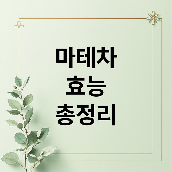 마테차 효능 총정리: 다이어트, 소화 촉진, 카페인 함량, 섭취법 A to Z 9